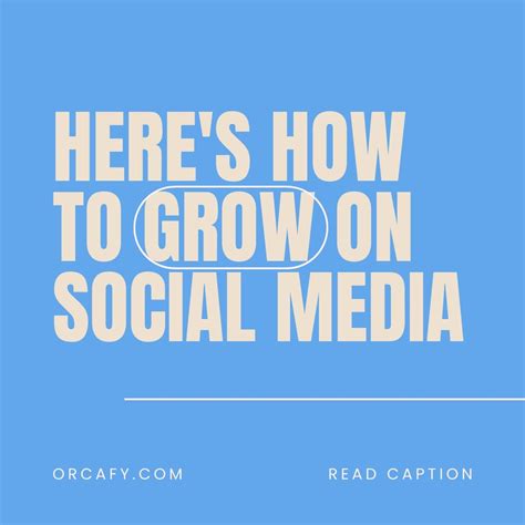 orcafy|ORCAFY, 1 Review, Address, Data & More .